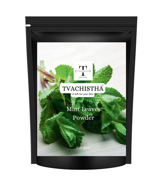 Tvachistha Mint Leaves Powder for Skin & Hair – 100% Pure & Natural | Herbal Face Pack & Scalp Care | Cools, Refreshes, Tightens Pores, Reduces Acne & Dandruff | 100g