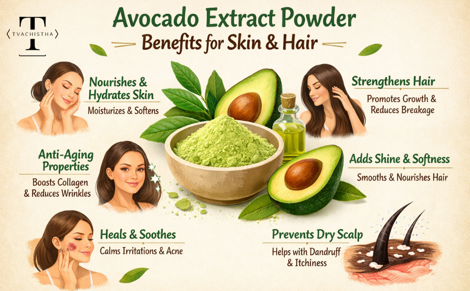 Tvachistha Avocado Extract Powder | Ultra-Nourishing Botanical for Dry & Mature Skin | Natural Hydration & Skin Barrier Support – 100g